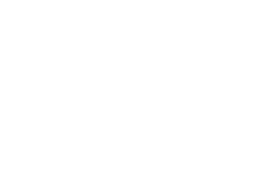 NetCov Mark